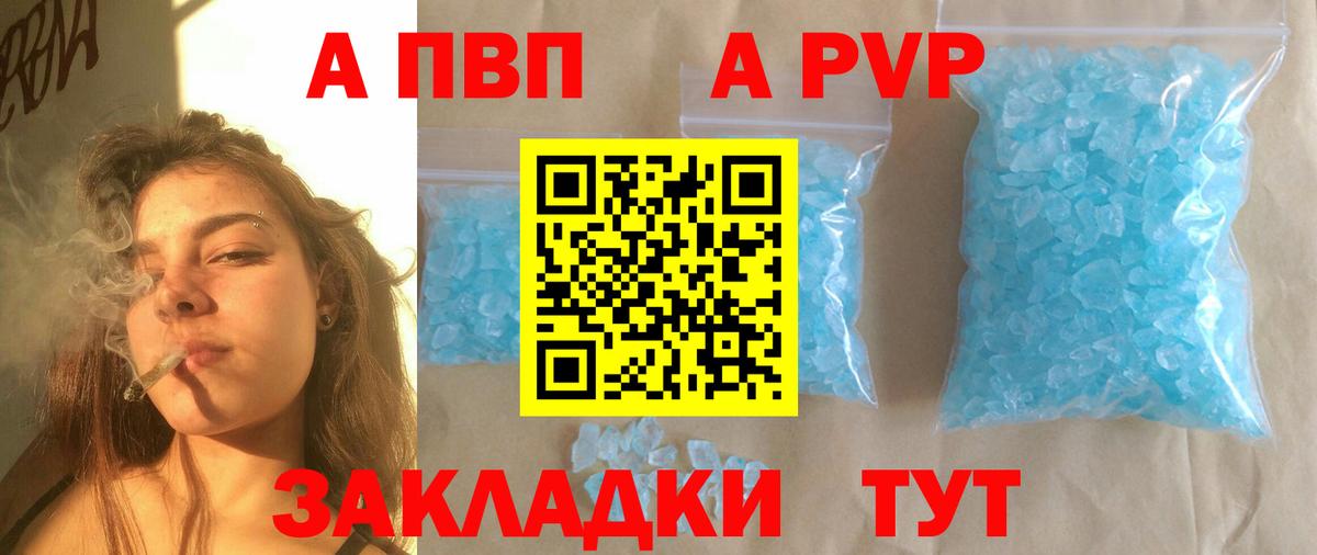 Alfa_PVP СК КРИС Новозыбков