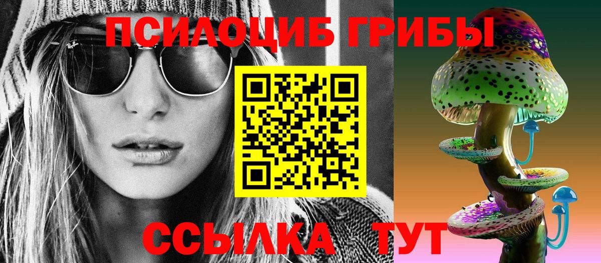 Галлюциногенные грибы MAGIC MUSHROOMS Новозыбков