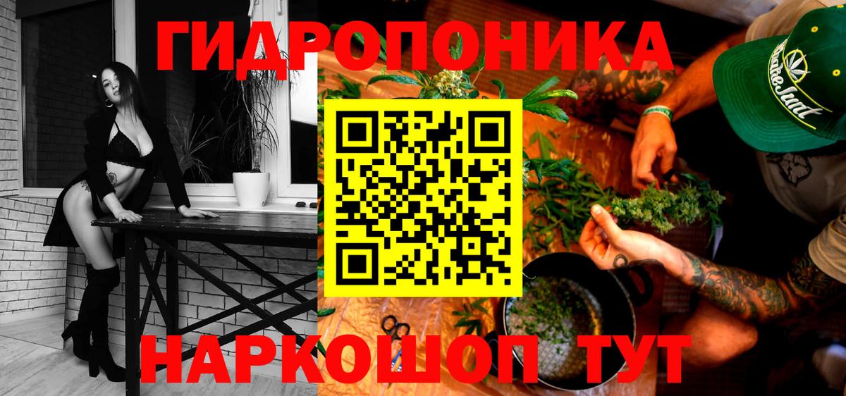 Конопля конопля  МАРИХУАНА Amnesia  Вход с VPN  Новозыбков  Каннабис планчик 